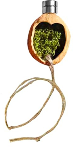 Pen for Jumping Spiders - Magnetic Walnut Cage, Habitat for Jumping Spiders, Cage Decoration for Tree Terrariums, Durable Rest for Reptiles | Bark Hiding Place for Gecko Eidec