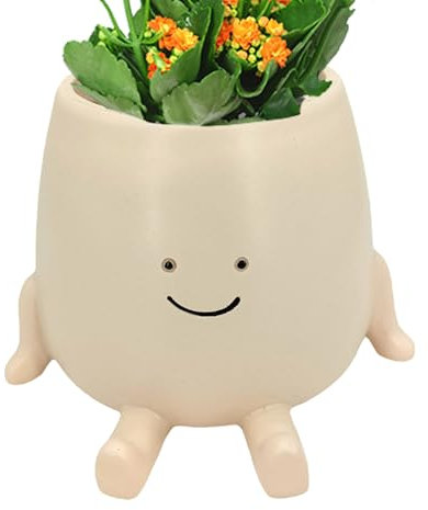 Fioriera a forma di testa di fiore, divertente fioriera in ceramica per interni ed esterni, fioriera decorativa, vaso da giardino per gli amanti delle piante