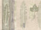 Green Cream Gold Tree Leaves Wallpaper Border
