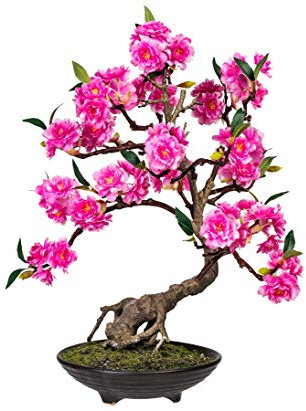 Blühender Bonsai Kunstbaum 50cm hoch in dekorativer Schale mit Kunstmoos - Künstlicher Bonsaibaum mit rosa Blüten und grünen Blättern