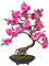 Blühender Bonsai Kunstbaum 50cm hoch in dekorativer Schale mit Kunstmoos - Künstlicher Bonsaibaum mit rosa Blüten und grünen Blättern