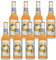 Elephant Bay Ice Tea Mango Pineapple 8 Flaschen je 0,33l