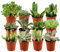 ZynesFlora Succulentes Naturelles en pot de fleurs Ø 5.5 cm - Lot de 12 - Hauteur: 5-10 cm - Mélange de Succulentes Petite Variétés Diverses Plantes Grasses d'Intérieur