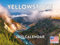 Yellowstone National Park Kalender 2024 Wandkalender
