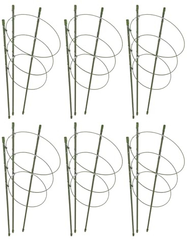 ANDRESLAD 6 Ensembles Cage Tomates Ronde Plastique Support Plantes Grimpantes Robuste pour Balcon et Jardin Tuteur de Tomates et Légumes Kit Adaptable Aux Pots et Cultures Extérieur