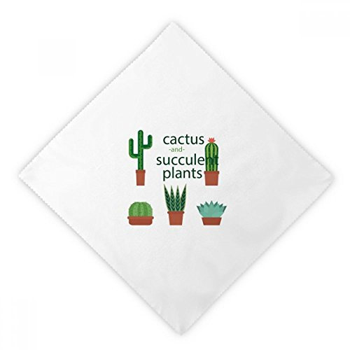 DIYthinker Sukkulente Topfpflanze Kaktus Illustration Dinner Servietten Mittagessen Weiß Wiederverwendbare Tuch 2Pcs 18.5 Zoll x 18.5 Zoll Mehrfarbig