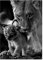 AZTeam Lionne Et Lionceau Noir Et Blanc Toile Art Peinture Affiches Et Impressions Scandinave Cuadros Mur Art Photo pour La Décoration Intérieure-60X80 Cm sans Cadre