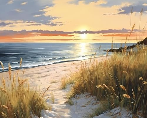 TISHIRON Peinture à la main par numéros Kits de peinture pour adultes avec pinceaux Coucher de soleil sur la mer Peinture par numéros sur toile Acrylique Pigment Artisanat 40,6 x 50,8 cm