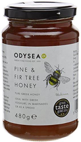 Odysea Pine and Fir Tree Honey 480g (Pack of 2)