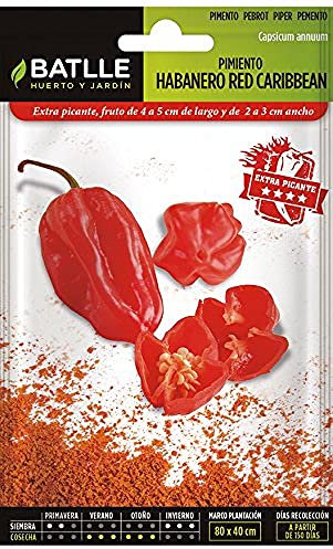 Battle Seeds — Peperoncino Habanero, Verde