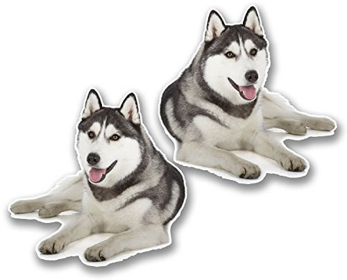 Vinyl-Aufkleber, Motiv: Sibirischer Husky, für Laptop, Tablet, Auto, Hund, Geschenk, #6295, 10 x 10 cm, 2 Stück