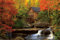 empireposter Poster Paysages Forêts - Old Mill Vieux Moulin - Dimensions : 91,5 x 61 cm