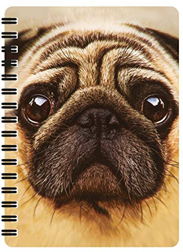 3D LiveLife Jotter - Mops von Deluxebase. Linsenförmiges 3D Hund A6 Spiral-Notizbuch. Ein liniertes Notizbuch mit Kunstwerken, die vom bekannten Künstler David Penfound lizenziert wurden