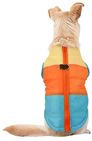 Idepet Hunde- und Katzenmantel mit Leine, Patchwork, gepolstert, für Welpen, Teddy, Chihuahua, Jacke, Weste, Kostüm, Mops, Größe M, Himmelblau