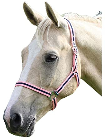 Shires Wessex Nylon Headcollar -Purple/Lilac Cob
