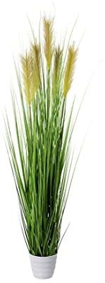 kunstpflanzen-discount.com Hohe künstliche Graspflanze Elefantengras ca. 150cm in verschiedenen Grüntönen mit braun blühenden Binsen im Topf