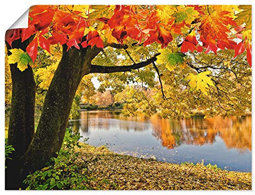 ARTLAND Wanddeko Poster & Kunstdrucke Wandposter 80x60 cm Natur Landschaft Wald See Herbst Baum Blätter Landhausstil T4SF