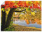 ARTland Wanddeko Poster & Kunstdrucke Wandposter 80x60 cm Natur Landschaft Wald See Herbst Baum Blätter Landhausstil T4SF