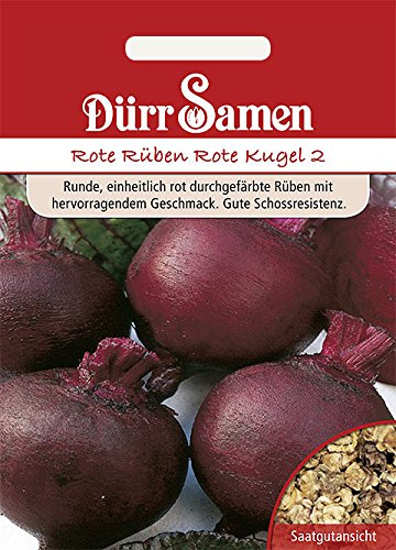 Dürr-Samen - Rote Rüben Rote Kugel 2 Saatgut