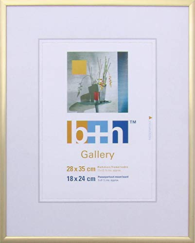 Bilderrahmen 28 x 35 gold matt Aluminium schmal Echt-Glas Portrait-rahmen Foto Alu