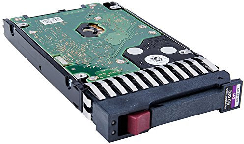 HP 300Gb 10K 6G 2.5 Sas Dp Hdd