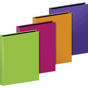 Brunnen 12 x Ringbuch Trend A4 2 Ringe 18mm farbig Sortiert