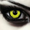 DESIGNLENSES Gelb schwarze große farbige Kontaktlinsen, Mini Sclera 17mm Durchmesser, 1 Paar (2 Stück) + Aufbewahrungsbehälter (Black Hole)