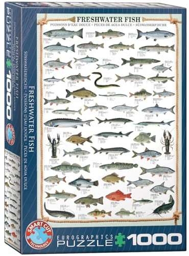 EuroGraphics 1000 Teile - Süßwasserfische 6000-0312 mehrfarbig