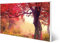 banjado Magnettafel weiß 78 x 37cm / Magnetwand Metall/Magnetpinnwand als Memoboard/Pinnwand Magnettafel Küche, Büro, Kinderzimmer inkl. 4 Magnete & Montageset - Motiv Lichtung Im Herbst