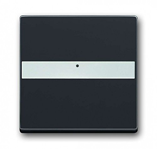 Busch-Jaeger 1764NLI-885 Wippe