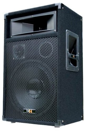E-Lektron 600W DJ Party Lautsprecher Box - 30cm / 12 Bass PW30
