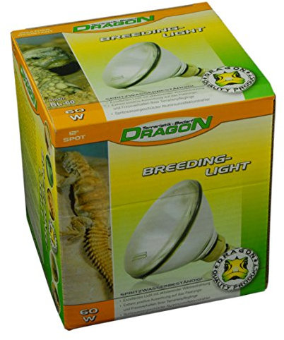Dragon - Halogen Hochvolt Flood E27 - 100 Watt Breeding Light PAR38