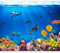 murando - Vlies Fototapete Unterwasserwelt 350x256cm - Foto Tapete Schlafzimmer Wohnzimmer Moderne Vliestapete XXL Wandtapete Motivtapeten 3d Effekt Wand Dekoration - Ozean Fisch Meer Natur 10110903-3