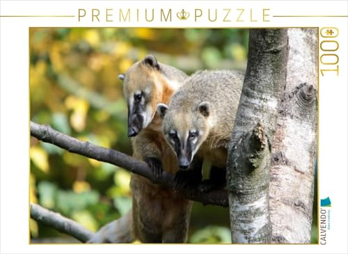 CALVENDO Puzzle Südamerikanische Nasenbären 1000 Teile Puzzle quer | Lege-Größe cm Foto-Puzzle für glückliche Stunden