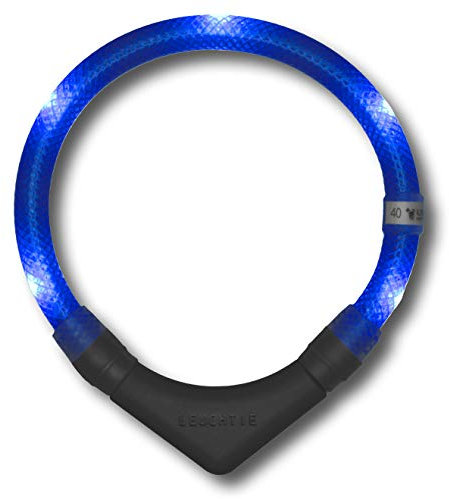 LEUCHTIE® Leuchthalsband Plus für Hunde, wasserdichtes LED Halsband, enorm hell 100h Leuchtdauer, Hundehalsband Leuchtend für kleine mittlere und große Hunde blau Größe 45