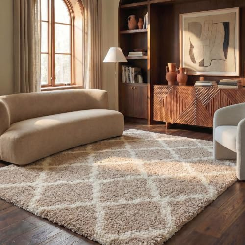 SAFAVIEH Area Rug 8x10 - Dallas Shag Collection - Large - Beige & Ivory, Trellis Pattern, Non-Shedding & Easy Cleaning, Plush Thick Pile, Ideal for Living Room, Bedroom, Dining Space (SGD257D)