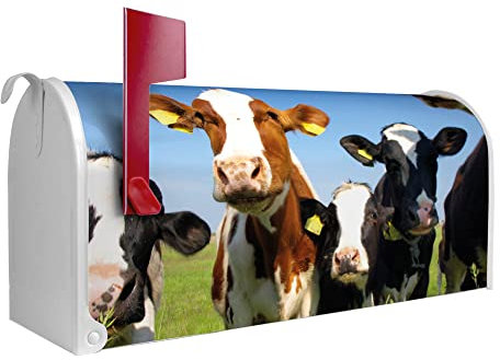 banjado® Amerikanischer Briefkasten - US Mailbox/Letterbox mit Motiv Kühe 51x22x17cm - Postkasten Stahl aus Amerika – Briefkasten amerikanisch pulverbeschichtet