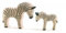 Margarete Ostheimer Ostheimer Zebra