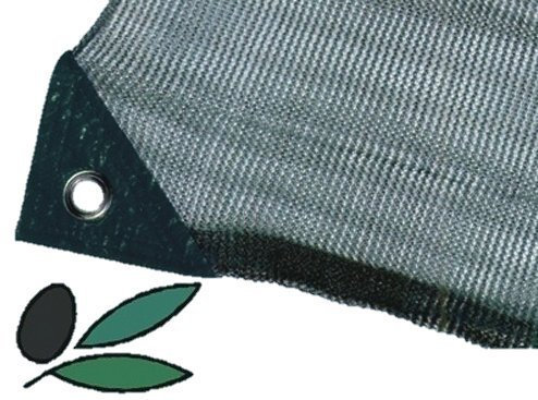 Red de aceitunas en toallas Mt. 6x10 - Todo