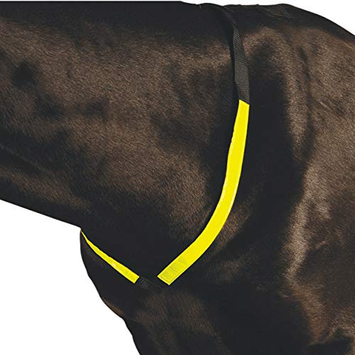 Roma Reflective Breastplate, Yellow, One Size