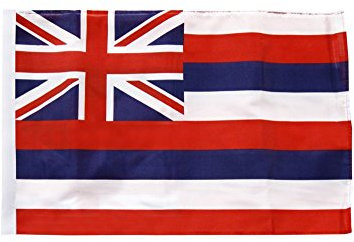 Flaggenfritze® Flagge USA Hawaii - 30 x 45 cm