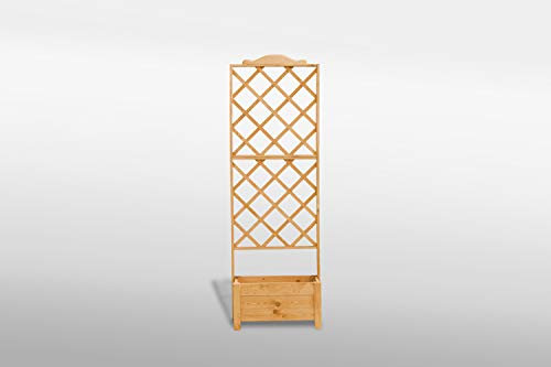 Promadino Rankkasten Botanica 69x210 cm