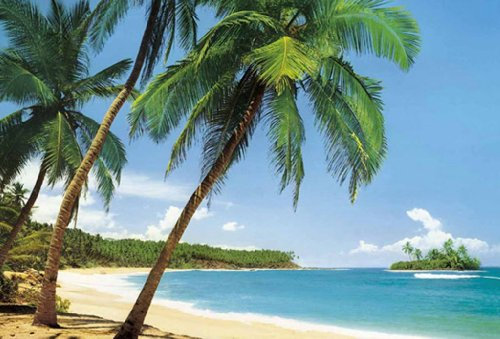 Tropical Island Beach Photo Wallpaper Wall Mural