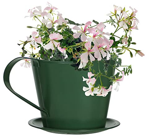 Dibor Garden Flower Plant Pot Metal Bucket Strawberry Herb Flower Planter Outdoor Flowerpot (BY41)