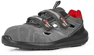 LABRADOR S1P SRC - T: 45
