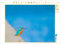 CALVENDO Puzzle Eisvogel 1000 Teile Lege-Größe 64 x 48 cm Foto-Puzzle Bild von ellenlichtenheldt