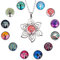 SUNNYCLUE 1 Boîte 12 Style Boutons Pression en Verre Charme Fleurs de Vie Grands Breloques pour la Fabrication de Bijoux Breakaway Verre Bouton Fleurs Cabochons Long Chandail Chaîne