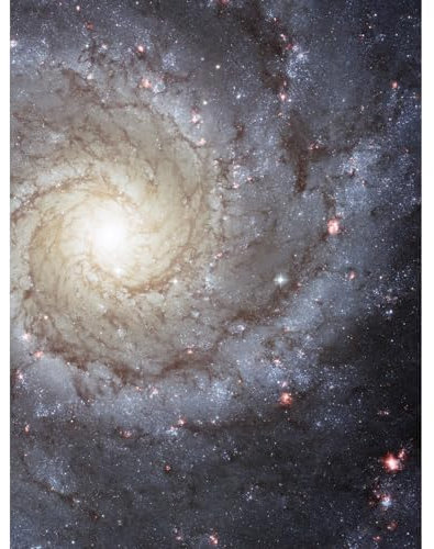 Artery8 Hubble Space Telescope Image Spiral Galaxy M74 Blue Pink NGC 628 Glowing Gas Star Formation Grand Design Galactic Symmetry Large XL Wall Art Canvas Print