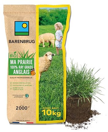 BARENBRUG - Prairie 100% Ray-grass anglais BIO - Rapide d’Installation - Polyvalente et Appétente - Très Bonne Pérennité 4 ans et + - Production Alimentation pour Animaux - Fabriqué en France - 10KG