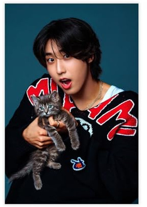 Stray Kids Han Ji-sung Poster, Kpop Vintage (1), Leinwand-Poster, Schlafzimmerdekoration, Landschaft, Büro, Raumdekoration, Geschenk, 30 x 45 cm